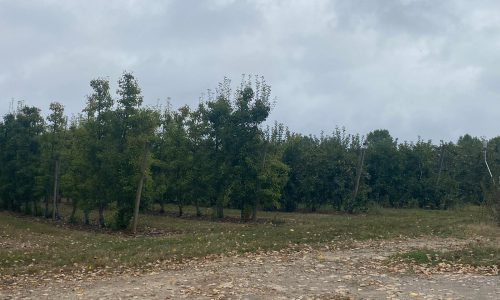 304924990_3298991360384191_2805851645032600541_n