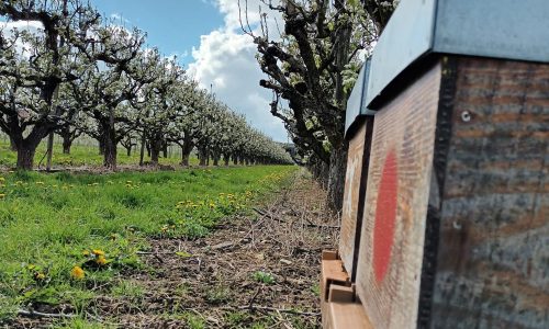 340615526_458494453127996_485632344405781024_n