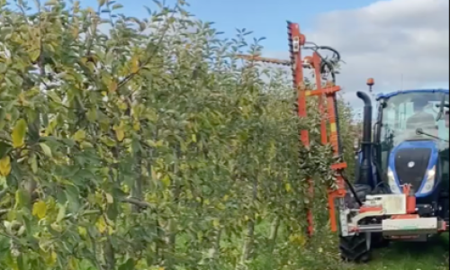 utf-8''GraphiqueColl17